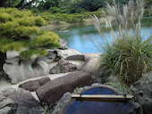 掬月亭: ☆麗☆さんの2012年11月20日の3枚目の投稿写真