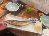 横丁 三七三 一番町店: ねねさんの2026年08月27日の1枚目の投稿写真