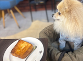 Italian cafe BAELU イタリアンカフェ バエル: ゆさんの2026年08月27日の2枚目の投稿写真