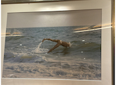 Ocean Harvest Cocomo: ひろのさんの2024年08月の1枚目の投稿写真