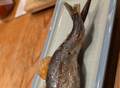 炉端 とらまる: ryotaさんの2026年03月14日の2枚目の投稿写真