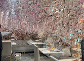 HAUTE COUTURE CAFE omotesando オートクチュールカフェオモテサンドウ: ななさんの2026年04月15日の3枚目の投稿写真