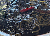 Italian Kitchen VANSAN バンサン あびこ店: おにぎりさんの2026年04月28日の1枚目の投稿写真