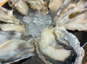 湘南バルはなたれ The Fish and Oysters 横浜スカイビル店: akiko77さんの2026年10月11日の1枚目の投稿写真