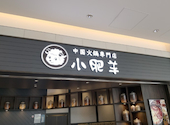 火鍋 小肥羊 しゃおふぇいやん 豊洲店: カズツーさんの2026年08月06日の1枚目の投稿写真
