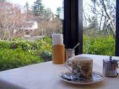 六角堂: JOSOさんの2007年03月29日の2枚目の投稿写真