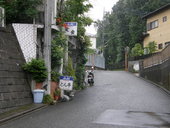 とん亭: ぶらさがさんの2008年05月31日の3枚目の投稿写真