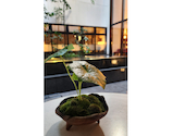 ブルーブックスカフェ BLUE BOOKS cafe 京都: スティンキーさんの2026年06月02日の3枚目の投稿写真