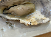 本格炉端焼き・海鮮と干物焼き・飲み放題で楽しむ宴会　よいもど居酒屋　心斎橋店: みきてぃさんの2026年09月10日の1枚目の投稿写真