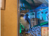 ペンギンのいるダイニングバー沖縄 : ひーろさんの2021年12月の1枚目の投稿写真