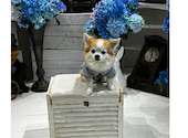 S&S aドッグカフェ ワインバー: みっちさんの2026年05月02日の2枚目の投稿写真