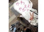 ねこ空間 チャモラ CYAMOLA: かんちゃんさんの2025年01月13日の1枚目の投稿写真