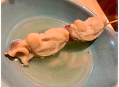 揚げたて串カツと焼き鳥 てっちゃん 南1条店: カオさんの2026年08月04日の2枚目の投稿写真