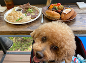 grasshopper cafe グラスホッパーカフェ: りゅうくんさんの2024年06月05日の1枚目の投稿写真