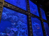 AQUA RESTAURANT&BAR LUXIS ラグシス: 君塚さんの2023年11月27日の2枚目の投稿写真