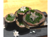 寿司 博多 Hana Sushi Sake Natural Wine Hakata Hana: Andersonさんの2026年07月10日の1枚目の投稿写真