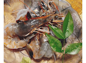 FISHMAN KITCHEN: すみさんの2026年05月02日の2枚目の投稿写真