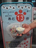 ディッピンドッツアイスクリーム デックス東京ビーチ店: aoさんの2009年12月31日の1枚目の投稿写真