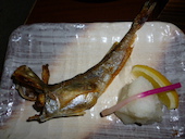 酒楽亭うみひこ: ヨネさんの2015年01月25日の2枚目の投稿写真