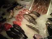 魚真 乃木坂店: tommyさんの2009年05月26日の2枚目の投稿写真