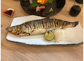 豚と魚藍カタ: たくみさんの2025年01月25日の3枚目の投稿写真