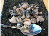 焼き鳥居酒屋 鶏っく 富山駅前店: こうちゃんさんの2026年07月22日の1枚目の投稿写真