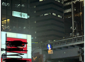 楽蔵 うたげ 銀座 有楽町駅前店: qfpmsさんの2026年07月25日の1枚目の投稿写真