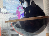 ANIMAL cafe and Bar mofutto: Natsさんの2026年08月14日の1枚目の投稿写真