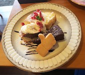 カフェ ザ ルーム Cafe the Room: サイネリアさんの2020年03月14日の1枚目の投稿写真