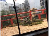 博多かんべえ 祇園邸: ハリーさんの2020年12月07日の3枚目の投稿写真
