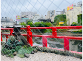 博多かんべえ 祇園邸: ハリーさんの2023年05月09日の2枚目の投稿写真