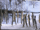 清流庭園・山菜料理 玉貴: highwayさんの2010年12月28日の2枚目の投稿写真