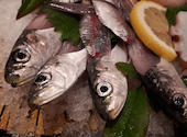 魚旬・磯料理 いわし屋: カズミンさんの2020年11月19日の1枚目の投稿写真