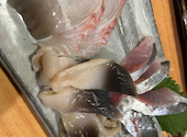 鳥きた: てらひろさんの2026年06月08日の3枚目の投稿写真