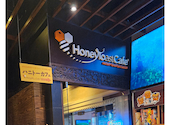 ハニトーカフェ 秋葉原店: とんとーんいさんの2026年08月04日の1枚目の投稿写真