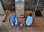 長崎ペンギン水族館: すのこっこさんの2026年09月02日の2枚目の投稿写真