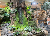 cafe Earth + h.l: kokoさんの2026年10月18日の2枚目の投稿写真