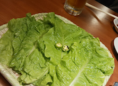 焼肉 たらふく 八尾店: okubonさんの2026年09月13日の1枚目の投稿写真