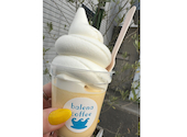 balena coffee バレーナ コーヒー: みささんの2026年06月23日の1枚目の投稿写真