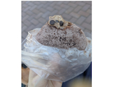 Lemon Bakery レモンベーカリー: ゆきちゃんさんの2026年09月12日の1枚目の投稿写真