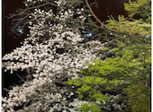subLime サブライム 井の頭公園店: やまさんの2024年04月11日の1枚目の投稿写真