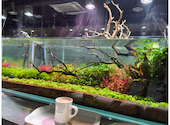 AQUA GARDEN KYOTO アクアガーデン 京都: sabotenn85さんの2026年08月04日の1枚目の投稿写真