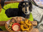アロハテーブル Aloha Table 横浜ベイクォーター: のら猫さんの2026年06月11日の1枚目の投稿写真