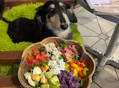 アロハテーブル Aloha Table 横浜ベイクォーター: のら猫さんの2026年06月11日の2枚目の投稿写真