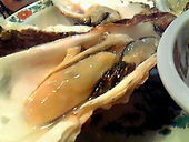 たわらや: ☆AKIKO☆さんの2008年12月15日の3枚目の投稿写真