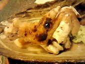 貴鶏屋 大国町本店: ☆AKIKO☆さんの2009年03月28日の2枚目の投稿写真