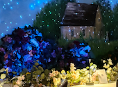 FLOWER WALL MONE フラワーウォールモネ: えっちゃんさんの2026年10月13日の3枚目の投稿写真