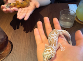 cafe&zoo 月とcafe: 川崎さんの2026年06月21日の1枚目の投稿写真