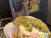 cafe&zoo 月とcafe: 川崎さんの2026年06月21日の3枚目の投稿写真