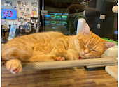 PARK72 ネコCAFE: くまっこさんの2026年08月22日の2枚目の投稿写真